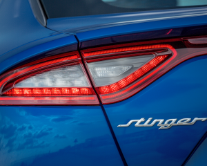 Kia Stinger blue details  (18)